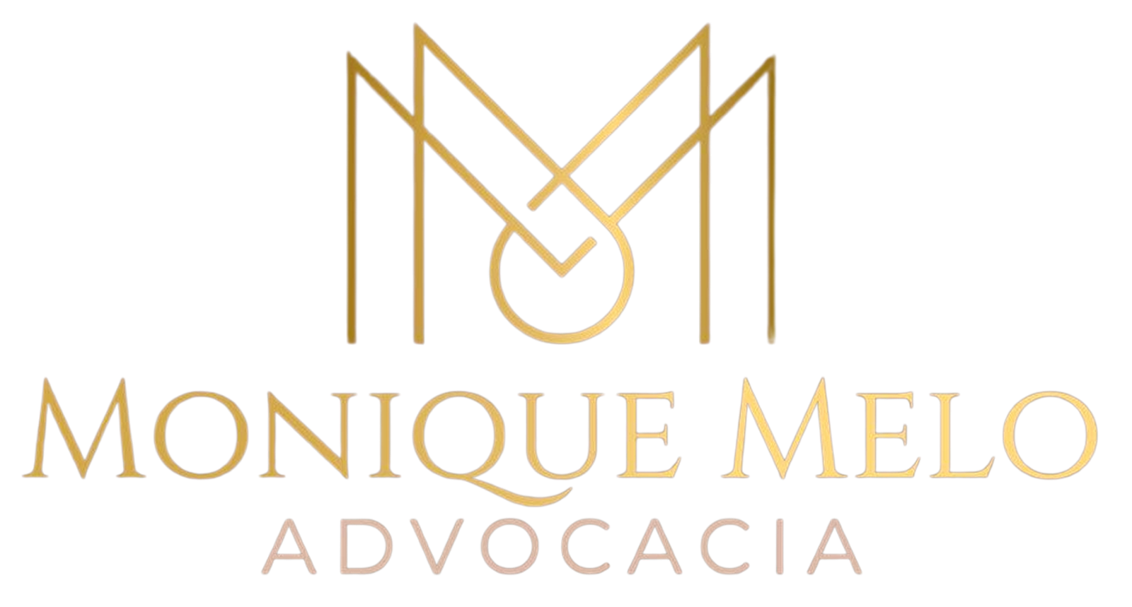 WhatsApp Image 2026-02-23 at 16.35.38 1